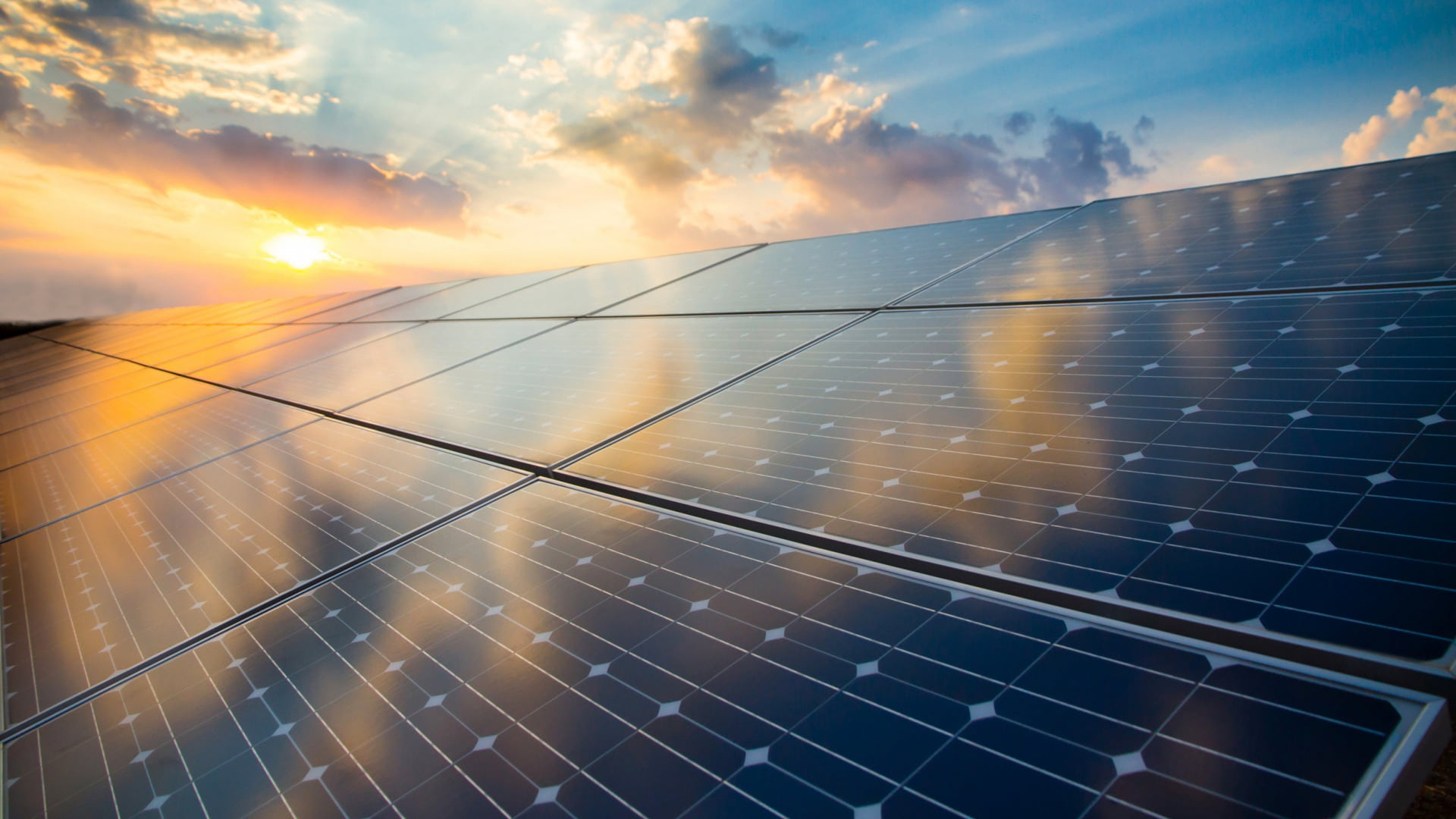Vasto campo de paneles solares bajo un cielo azul